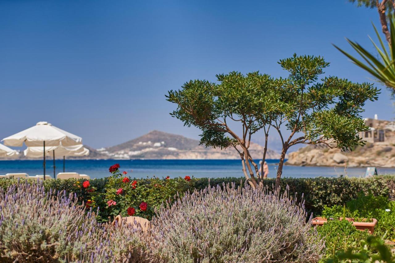 Naxos City Kalergis Studios المظهر الخارجي الصورة