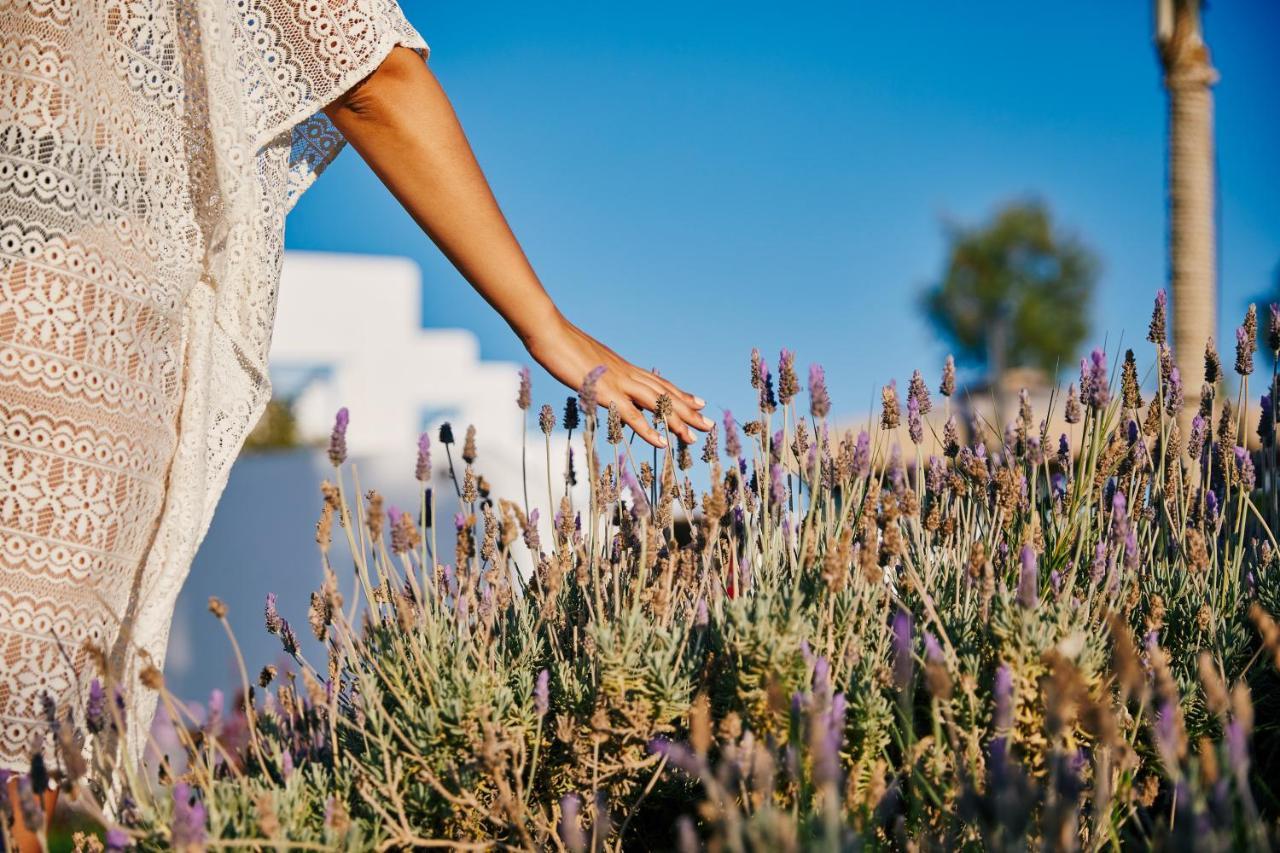 Naxos City Kalergis Studios المظهر الخارجي الصورة